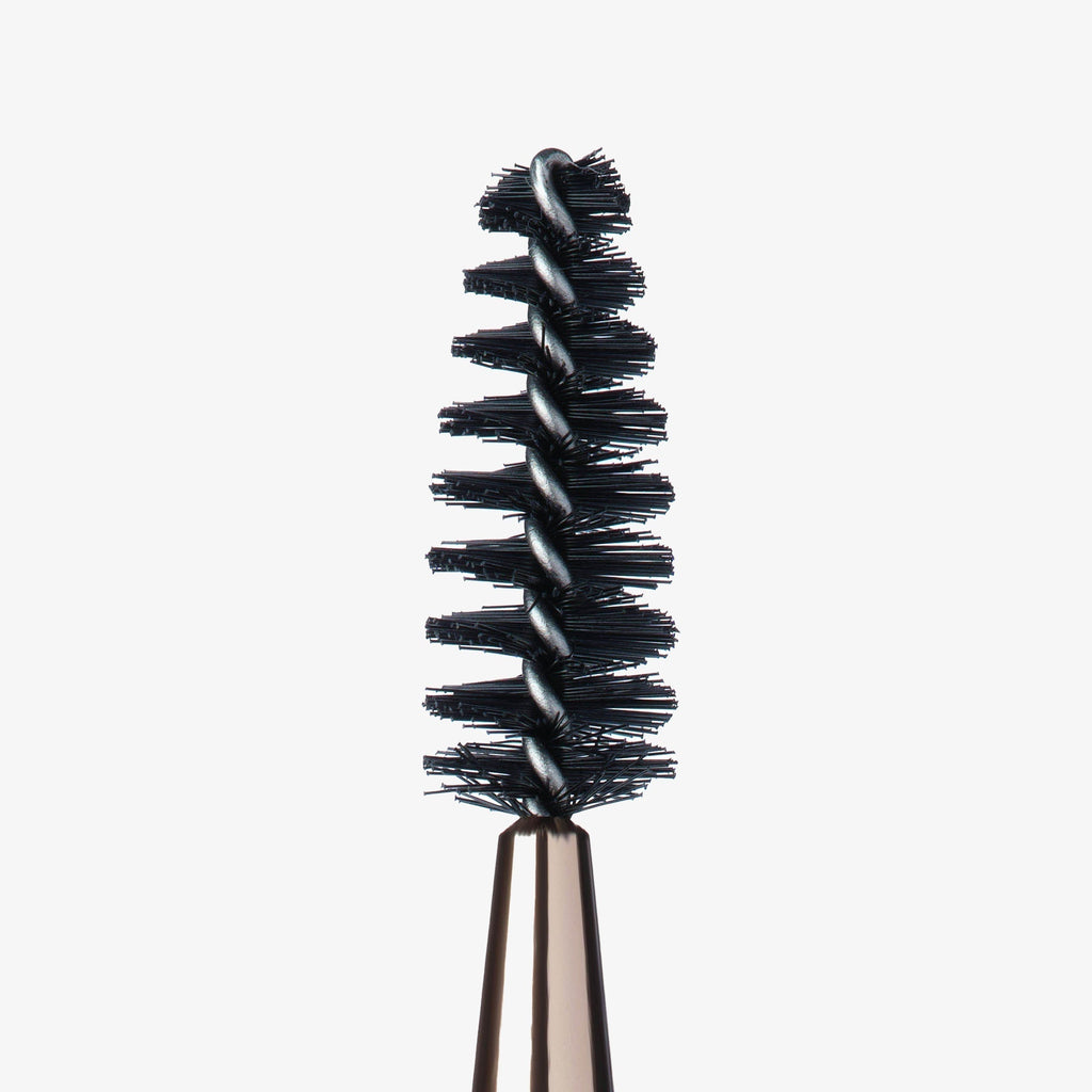 Brush Best Sellers Set